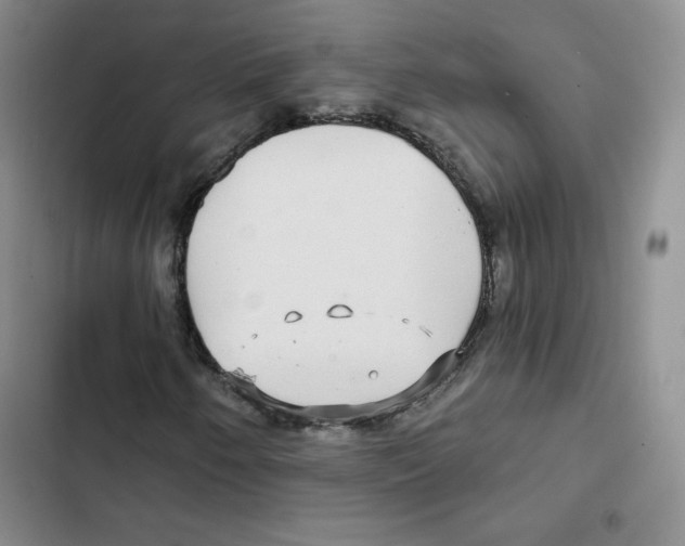 X0000102281250200808221256