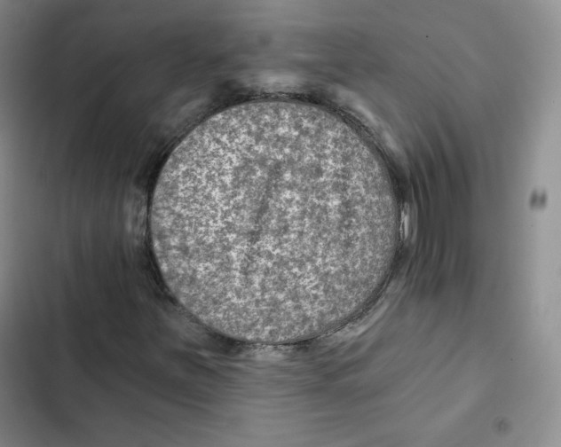 X0000102281251200808221256