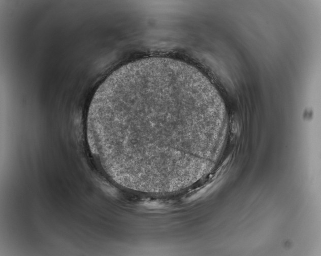 X0000102281252200808221256