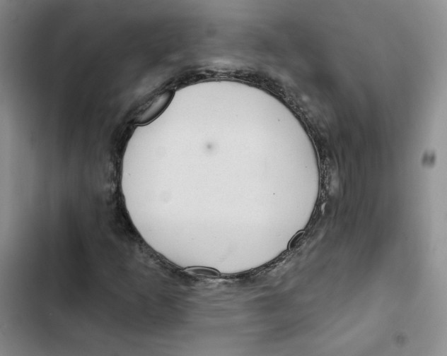 X0000102281253200808221256