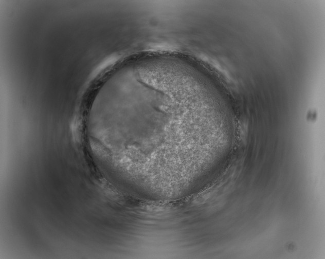 X0000102281254200808221256