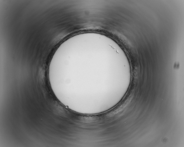 X0000102281257200808221256