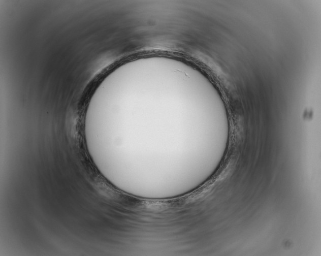 X0000102281258200808221256