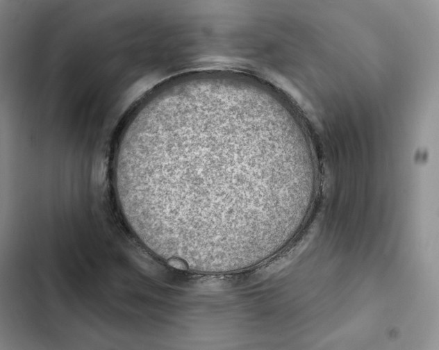 X0000102281259200808221256