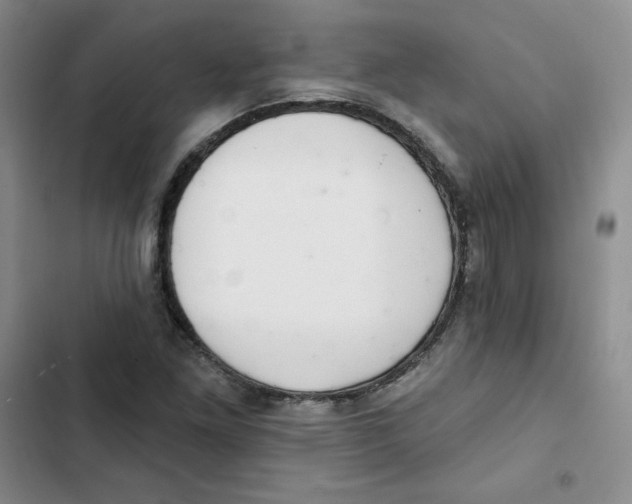 X0000102281261200808221255