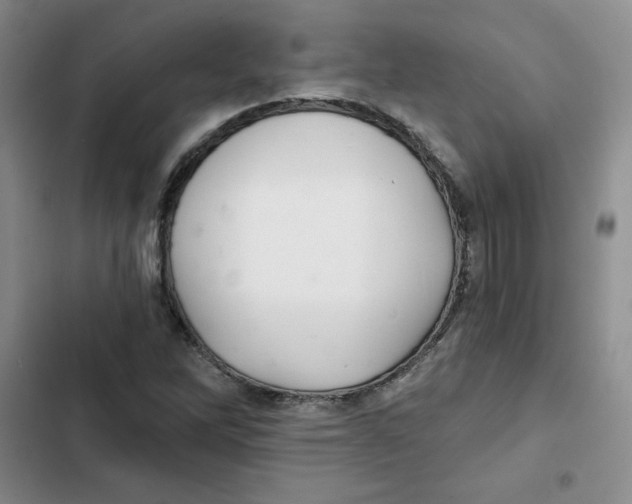 X0000102281262200808221255