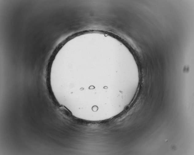 X0000102281264200808221255