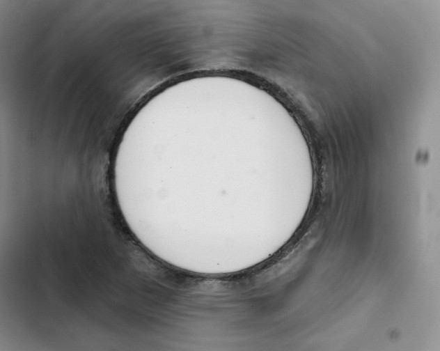 X0000102281265200808221255