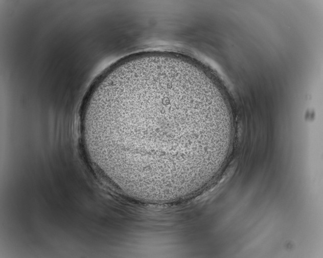 X0000102281267200808221255