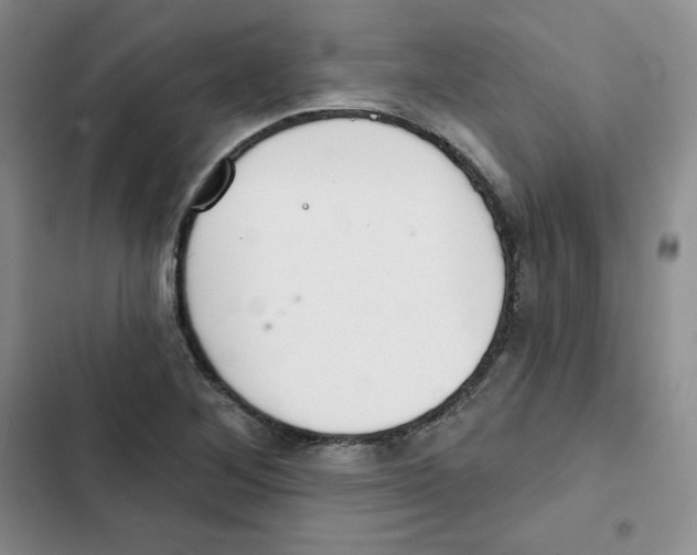 X0000102281268200808221255