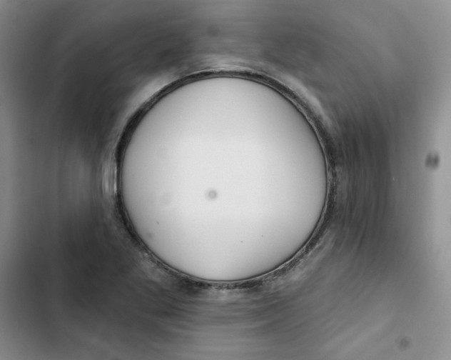 X0000102281269200808221255