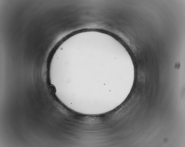 X0000102281270200808221255