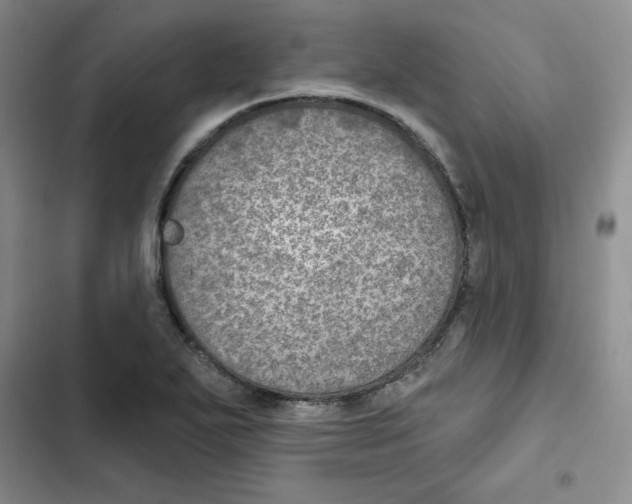 X0000102281271200808221255