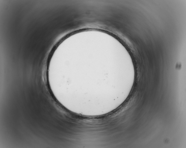 X0000102281272200808221255