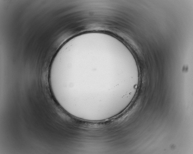 X0000102281273200808221255