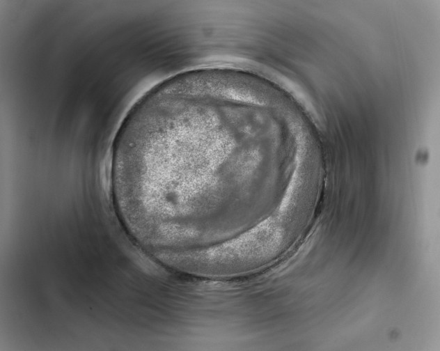 X0000102281275200808221255