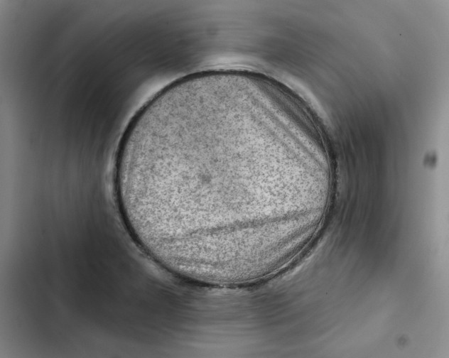 X0000102281277200808221255