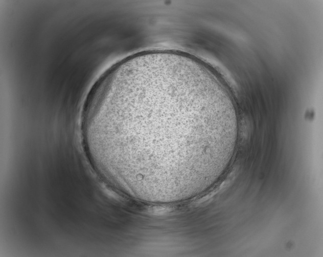 X0000102281278200808221255