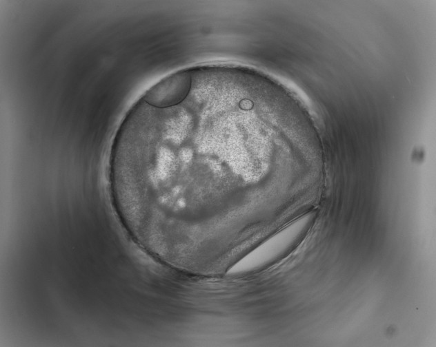 X0000102281279200808221255