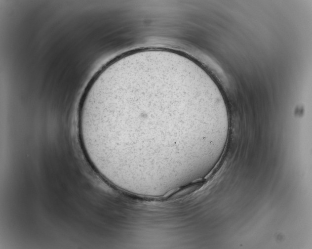 X0000102281280200808221255