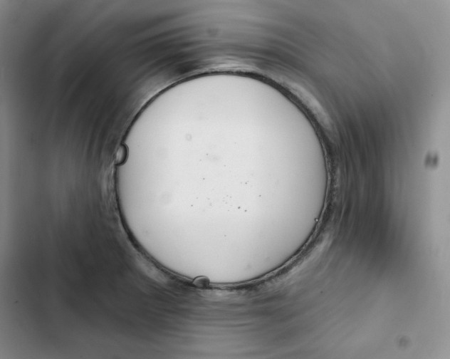 X0000102281281200808221255