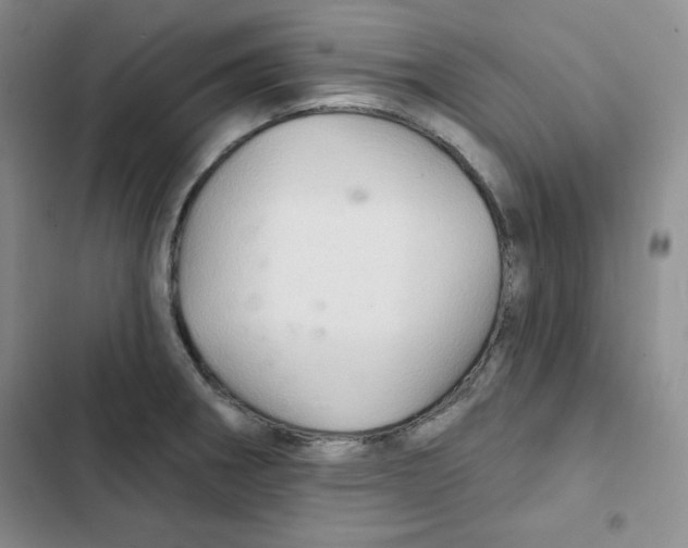 X0000102281282200808221255