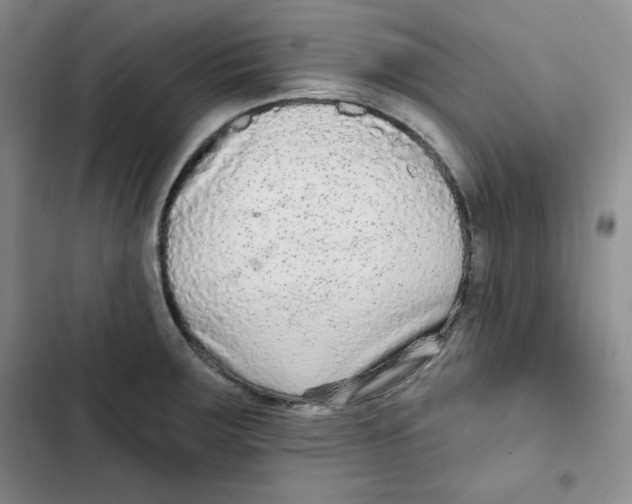 X0000102281283200808221255