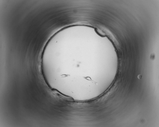X0000102281284200808221255