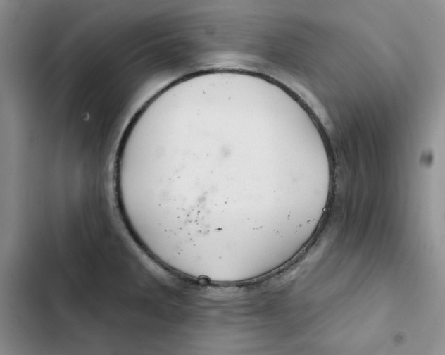X0000102281285200808221255