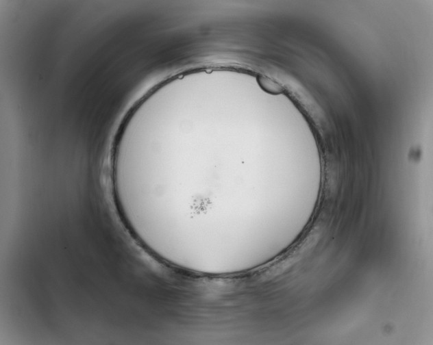 X0000102281286200808221255