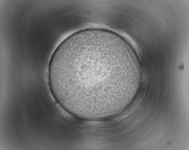 X0000102281287200808221255