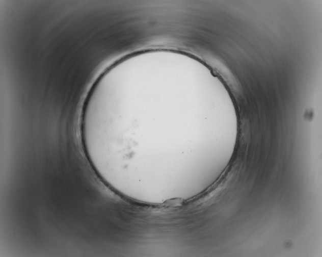 X0000102281288200808221255