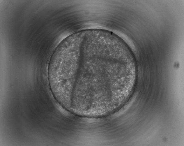 X0000102281289200808221255