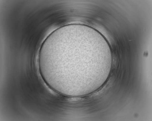 X0000102281290200808221255