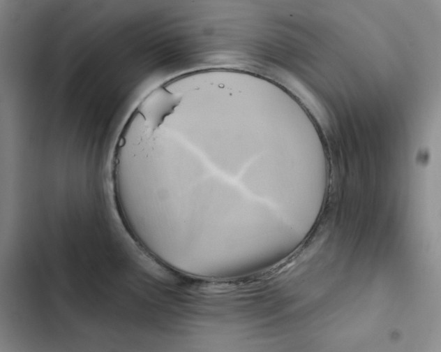 X0000102281291200808221255
