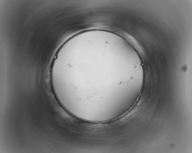 X0000102281292200808221255