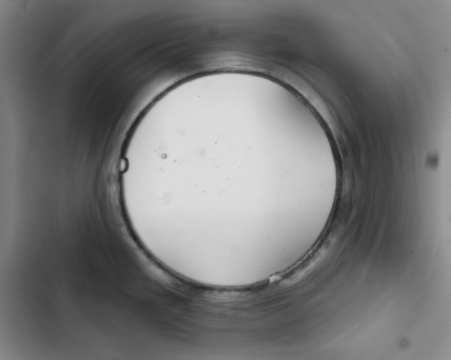X0000102281293200808221255