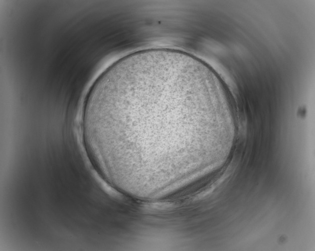 X0000102281294200808221255