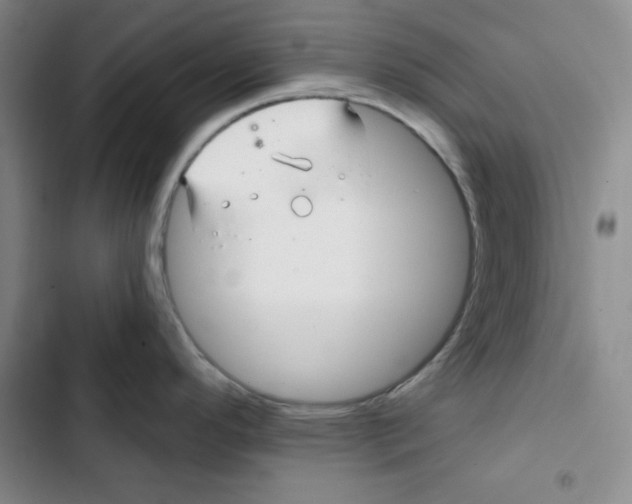 X0000102281296200808221255