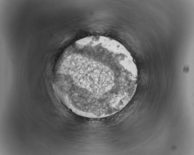 X0000102281297200808221254