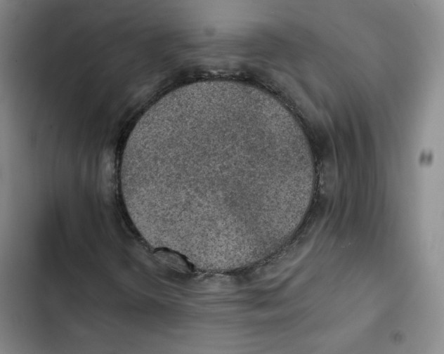 X0000102281298200808221254