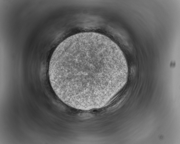 X0000102281300200808221254