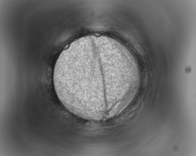 X0000102281301200808221254