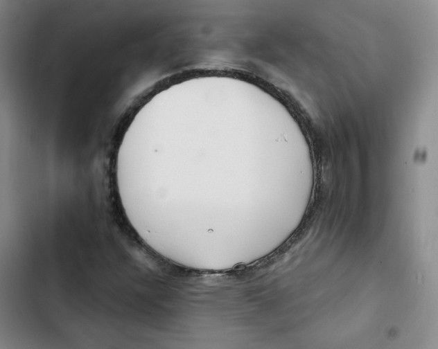 X0000102281304200808221254
