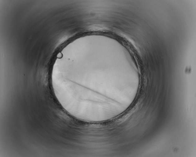 X0000102281306200808221254