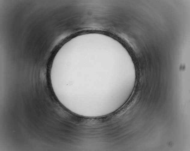 X0000102281307200808221254