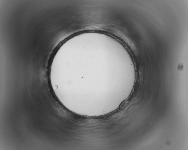 X0000102281308200808221254