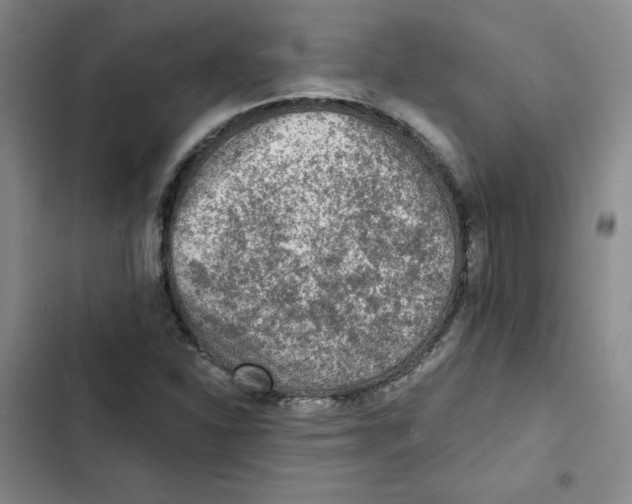 X0000102281310200808221254