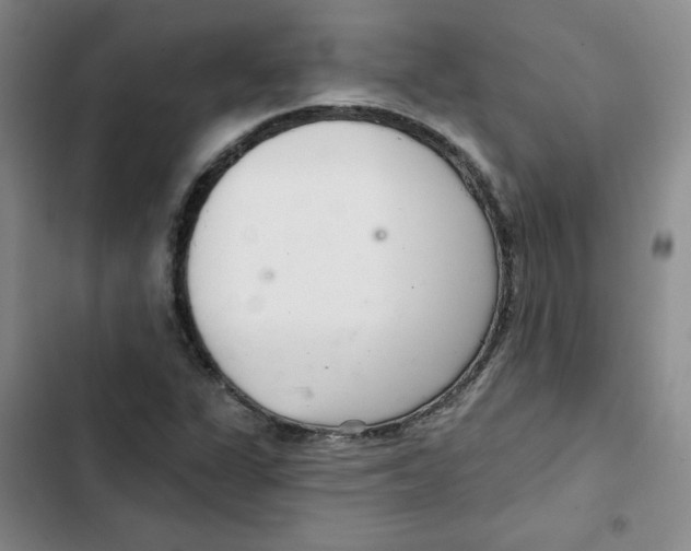 X0000102281311200808221254