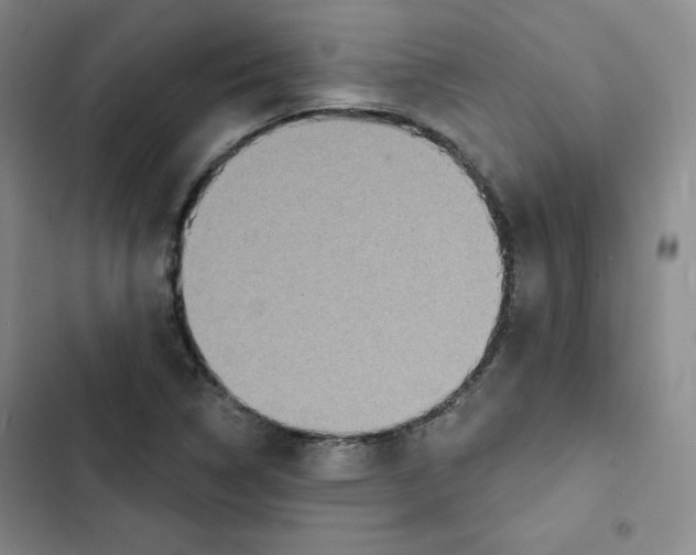 X0000102281314200808221254